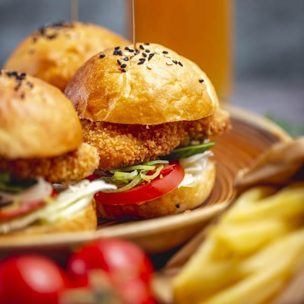 hamburger-2-24 (2)